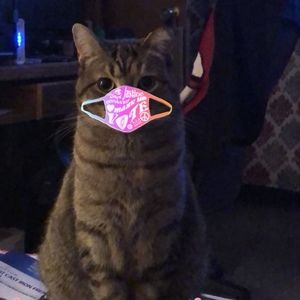 Meet your Posher, Posh